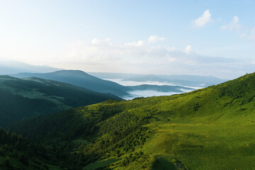 landscape sky forest in the mountains on a sunny summer day mountain silhouettes, fog, wallpaper, poster, cover, nature of the Carpathian mountains, green, natural beauty, vacation, outdoor activities