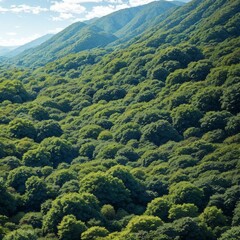 森の風景7