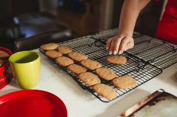 Cooling Freshly Baked Cookies
