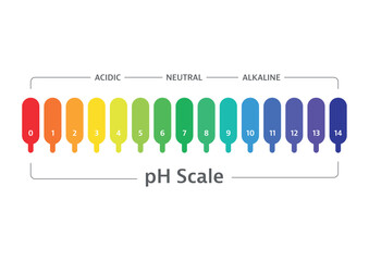 vector pH scale. ph chart, acidic and alkaline scale on white background
