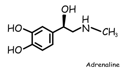 Chemical, organic structure : adrenaline 