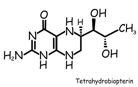Chemical, organic structure : tetrahydrobiopterin