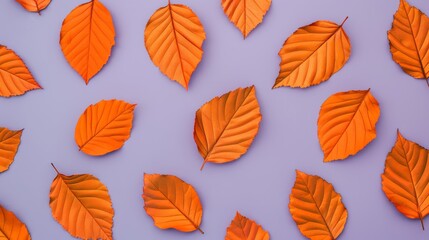 Obraz premium Pattern of dry orange metallic leaves on violet background, focus cover all object, deep dept of field