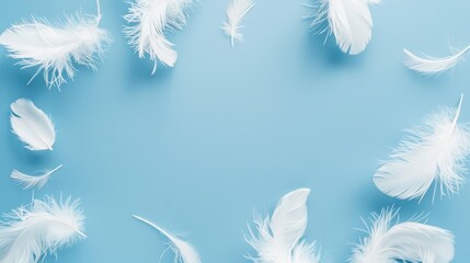Obraz premium White plumes surrounding with room for text on a blue backdrop
