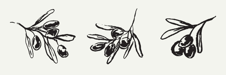 Tattoo olive branch collection. Contemporary abstract minimal art in charcoal or crayon drawing style botanic plant vector illustration. Ink hand drawn olives set. Pencil drawn design elements.