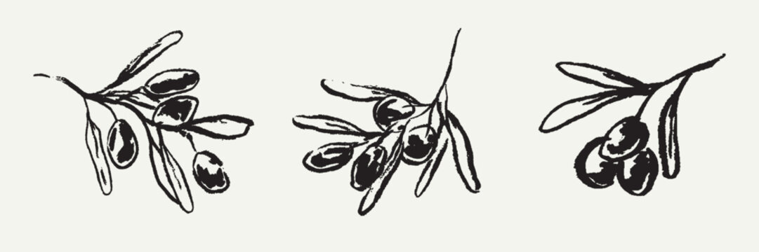 Tattoo olive branch collection. Contemporary abstract minimal art in charcoal or crayon drawing style botanic plant vector illustration. Ink hand drawn olives set. Pencil drawn design elements.