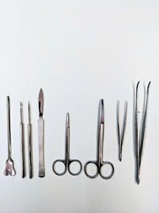 A row of surgical instruments is neatly arranged on a white table