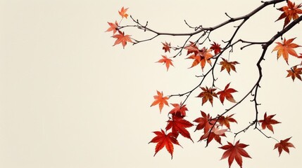 Maple leaves on tree branches against plain background