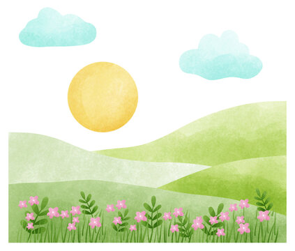 summer landscape with flowers