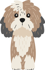 Havanese Dog Illustration