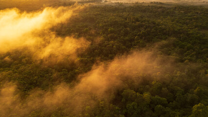 Evapotranspiration of the forests surrounded by the Nanay River, landscapes of the Nanay River,...