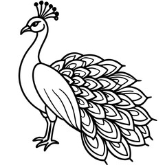 Naklejka premium Beautiful Hand drawn Peacock bird, Stock Illustratio