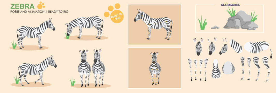 LC_Zebra_01Cute Zebra character broken down, ready to animate with multiple angles and poses, rig ready safari animal collection. 