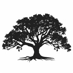 Majestic Oak Tree Silhouette Isolated on White Background Depicting Strength and Longevity concept
