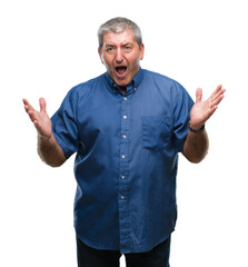 Handsome senior man over isolated background celebrating crazy and amazed for success with arms raised and open eyes screaming excited. Winner concept