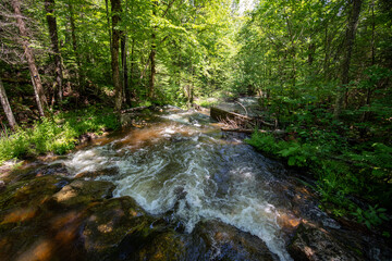 Obraz premium La Mauricie National Park, Quebec