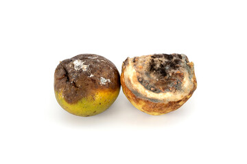 Leftover guava and orange. Fruit rotten and moldy isolated on white background.