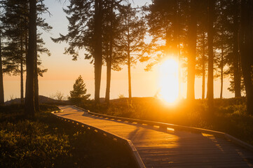 Sunset in the forest. Wooden pathway leading down to the sea. Fäboda, Finland