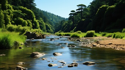 river in the mountains