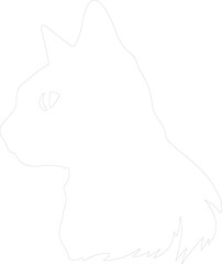 European Shorthair Cat outline