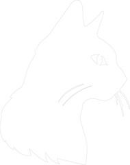 European Shorthair Cat outline