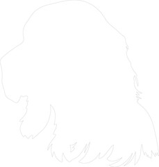 Obraz premium Field Spaniel outline