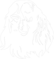 Field Spaniel outline