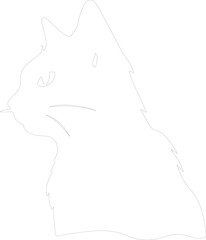 Foldex Cat outline