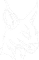 Caracal outline