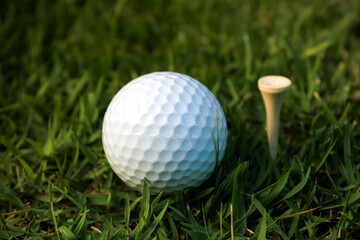 The golf ball is placed on the grass next to the tee.