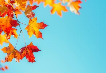 A tree branch with leaves that are orange