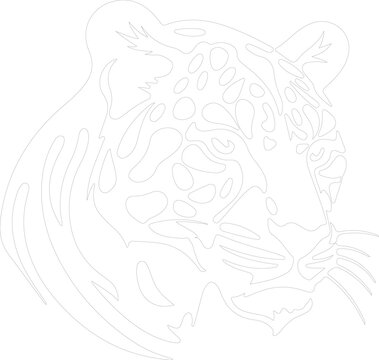 "Clouded Leopard" Images – Browse 3,127 Stock Photos, Vectors, and