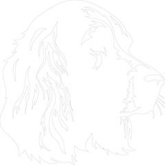 Cocker Spaniel outline