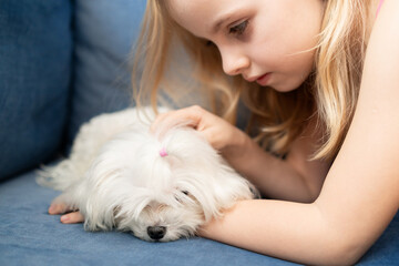 Child cuddling small white Maltese dog. Kid leaning close to pet, which appears to be sleeping. Concept of affection and companionship between human and pet