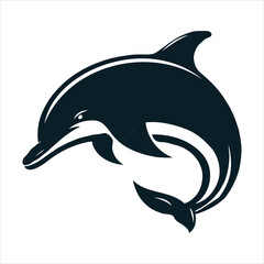 dolphin isolated on white background