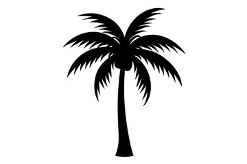 palm tree silhouette vector illustration