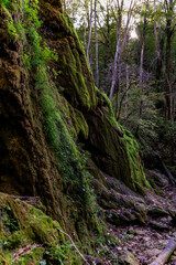 VisualArtPhotography128 