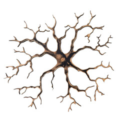 Intricate neuron model in die cut PNG style showcasing its detailed dendrites and axon isolated on white and transparent background