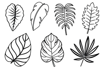 Tropical Leaves Line Art Classic Leaf Drawing