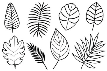 Tropical Leaves Line Art Artistic Botanical Emblem