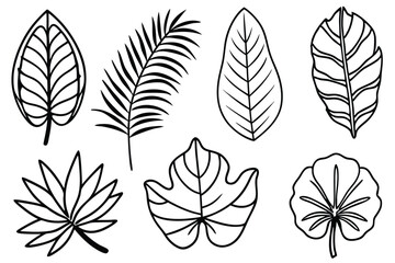 Tropical Leaves Line Art Graceful Artwork Concept