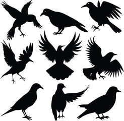 set of bird silhouette illustration black and white