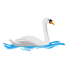 flat vector design of swans swimming in water