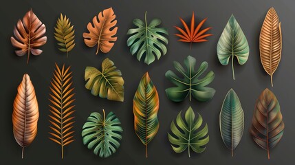 Natural Collection of Tropical Brown Leaves