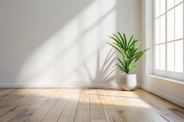 minimalist white room interior with warm wooden flooring bathed in soft natural light featuring a single potted plant for organic contrast