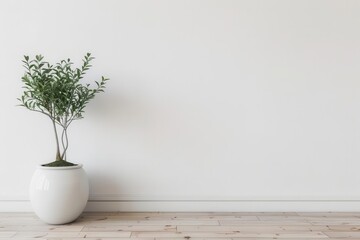 minimalist white wall mockup with potted plant and wood floor blank canvas for interior design or product display clean and modern background digital photography