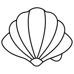 black and white seashell