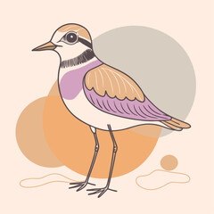 Cute Bird Cartoon Vector 