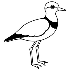 Cute Bird Cartoon Vector 