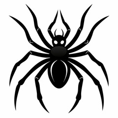 Halloween spider black vector silhouette